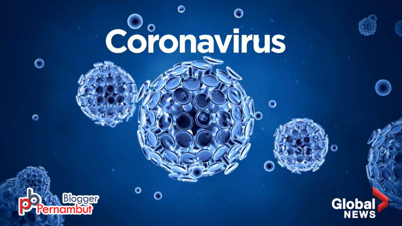 coronavirus_live_update_pernambut_blogger
