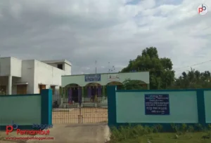 Government-primary-school