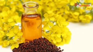 Fantastic-Benefits-Of-Mustard-Oil-For-Your-Health-Skin-And-Hair-pernambut-blogger