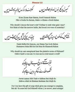 shikwa-s1-pernambut-blogger