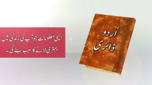 adabi-latifeh-Abrar-Abulhasan-Pernambut-blogger