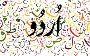 urdu-article-pernambut-blogger