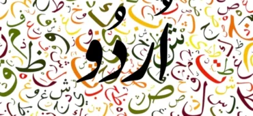 urdu-article-pernambut-blogger